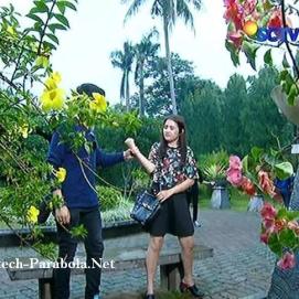 Aliando dan Prilly GGS Episode 269-1