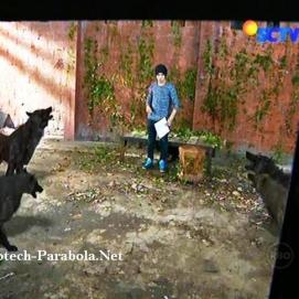 Aliando GGS Episode 270
