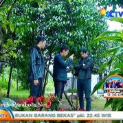 Pemain GGS Episode 276-1