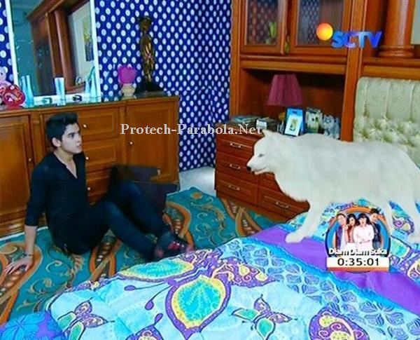 Aliando dan Seigala Putih GGS Episode 309