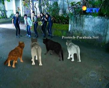 Pemain GGS Episode 288 Part 2-4