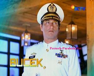 Bucek