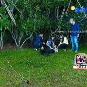 Pemain GGS Episode 325-2