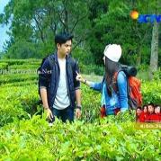 Mesra Randy Martin Rain The Series