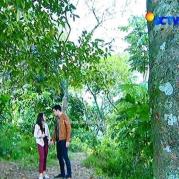 Jessica Mila dan Kevin Julio GGS Episode 429