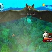 Kelelawar Raksasa GGS Episode 416