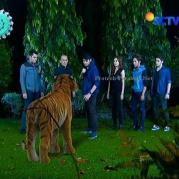 Pemain GGS Episode 414-2