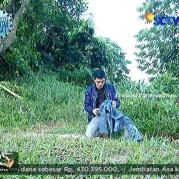 Ricky Harun GGS Episode 407-1
