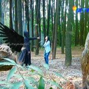 Aliando dan Prilly GGS Episode 456-1